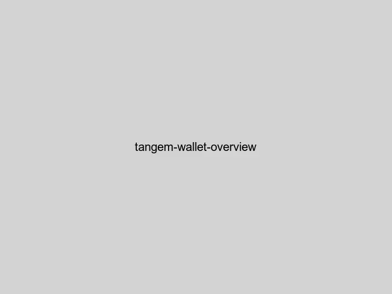  Tangem wallet card showing NFC technology and secure element chip